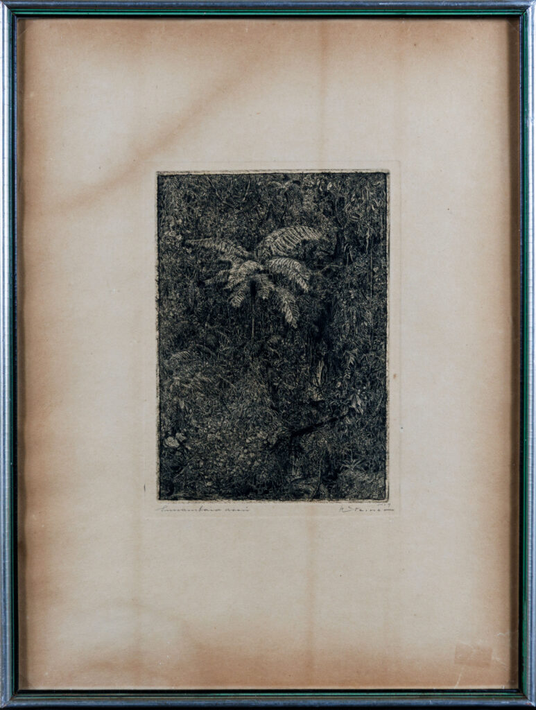Interior da Floresta - Hans Steiner / Acervo do Museu Histórico Visconde de São Leopoldo - foto ©2025 Nilton Santolin