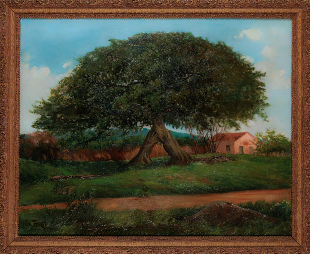 Figueira de Sapucaia - Libindo Ferrás Acervo Museu Histórico Visconde de São Leopoldo. Foto: Nilton Santolin